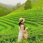 Tour Hàn Quốc: Muan - Mokpo - Jeonju - Yeosu - Gwangju (DPT82)